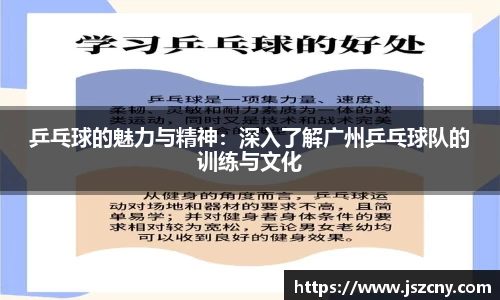 乒乓球的魅力与精神：深入了解广州乒乓球队的训练与文化